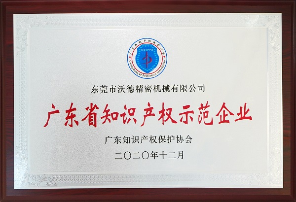 廣東省知識產權示范企業(yè)